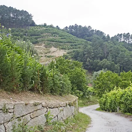 Gospodarstwo wiejskie Quinta Dos Monteiros