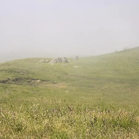 Gospodarstwo wiejskie Quinta Dos Monteiros Resende